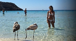 Destinazione paradiso, così la Sicilia può essere il vero volano del Belpaese (Covid permettendo)