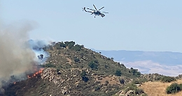 Dramma roghi nell'Ennese, oltre 700 ettari in fumo in 3 giorni: bruciano boschi, campi e pascoli