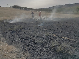 Incendi, Musumeci: «I piromani sono delinquenti, ci vorrebbe il carcere a vita»