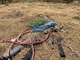 Catania: Via Rosa Balistreri in totale abbandono