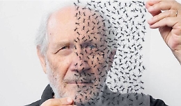 Le Orestiadi ripartono dall'Agamènnuni