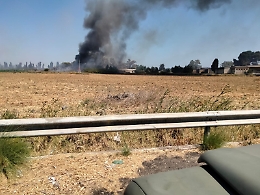 L'assessora Baglieri: &laquo;Aumentare controlli e scoprire se i roghi sono dolosi&raquo;