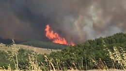 Incendi, Legambiente denuncia la stagione (già) disastrosa in Sicilia