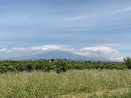 Catania, terreni agricoli confiscati alla mafia affidati per usi sociali