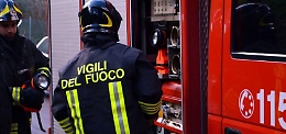 Incendio in campagna: morti 8 cani bruciati