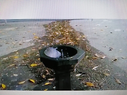 Catania: fontana sporca e perdita d'acqua in piazza S. M. di Gesù