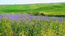C'è una "Strada romantica" da scoprire anche in Sicilia