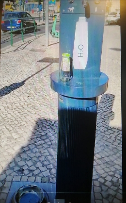 Lisbona: fontanelle per dissetare i cani