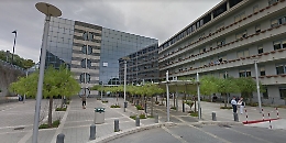 Giovane centauro investe un cinghiale e finisce in ospedale