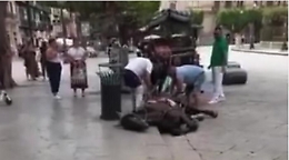 A Palermo un altro cavallo da traino muore sotto il sole nel giro di pochi giorni