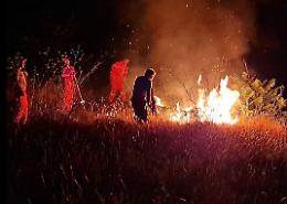 Coldiretti: 300 roghi nei boschi in Sicilia, è massacro