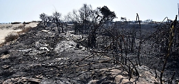 Viaggio in quella che era l'Oasi del Simeto: della riserva resta solo cenere