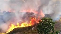 Domenica di fuoco, 50 incendi divampati in tutta l'Isola