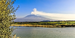 Agricoltore muore schiacciato dal trattore mentre cerca di spegnere incendio a Patern&ograve;