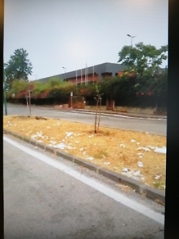 Catania, Nesima: degrado nell'area circostante la piscina comunale