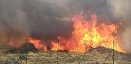 Pronti ad appiccare un grosso incendio per risparmiare sul foraggio: arrestati due catanesi