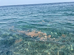 Fiumefreddo (Ct), mare inquinato nella spiaggia di Fondachello