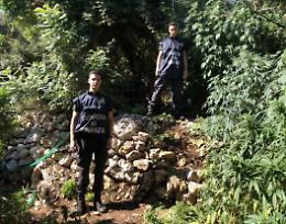 Piantagione di marijuana del valore di 350mila euro sequestrata nel Palermitano