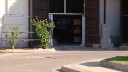 Emergenza bare a Palermo, Orlando: "Forno crematorio sarà riavviato tra sei mesi"