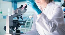 Universit&agrave; di Catania, 70 docenti tra i  &ldquo;Top Italian Scientists&rdquo;