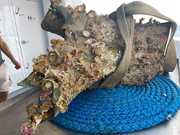 Altri due rostri recuperati nel mare delle Egadi