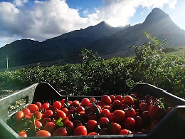 Alla Sicilia il record dei beni confiscati ai boss: 449 assegnati per riuso sociale