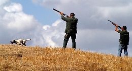 Parte la stagione della caccia in Sicilia, anzi no! Il Tar blocca tutto alla vigilia del via