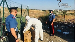 Sequestrata area trasformata in discarica con presenza di rifiuti sanitari