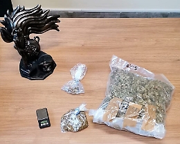 Giovane spaccia in casa della zia che lo denuncia e lo fa arrestare