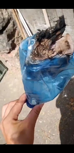 Bottiglia incendiaria lanciata dentro Villa Curia: 50 gatti salvati dalle fiamme