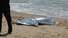 Suicidio oppure omicidio del consenziente?