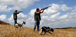 Caccia, il Tar sospende per la seconda volta la preapertura della stagione venatoria in Sicilia