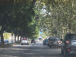 Catania: semaforo pedonale coperto da alberi in viale Ulisse