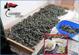 Nove chili di marijuana in due case a Giardini Naxos: arrestato spacciatore di Mascali