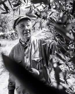 Morto Nicol&ograve; TItone, il suo olio tra i pi&ugrave; premiati al mondo