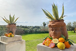 Dieci nuovi distretti produttivi in Sicilia: ecco quali e dove sono