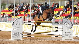 Equitazione, alla tenuta Ambelia torna la Coppa degli Assi