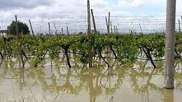 Maltempo nell'agrigentino, l'intervento del Cartello sociale