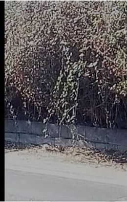 San Giorgio (Ct): percorrere a piedi viale Cravone può essere fatale