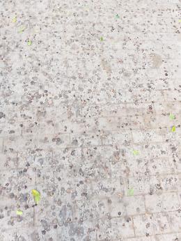 Catania: area giochi Vulcania piena di fogliame da ripulire