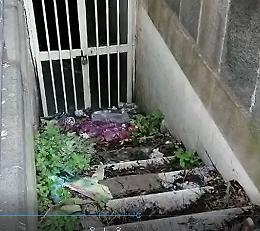 Degrado a Catania: "Sindaco se ci sei batti un colpo"