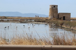 Sulla rotta dei fenicotteri da Priolo a Trapani