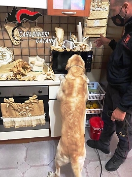 Lancia buste con la droga dal balcone alla vista dei Cc: arrestato