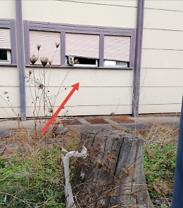 Catania: ex Ospedale Ferrarotto tra devastazione e negligenza