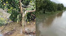 Dopo "Apollo" in Sicilia è disastro agricoltura: campagne allagate e raccolti perduti