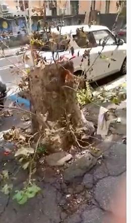 Catania, via Lago di Nicito: strada sconnessa e sporca