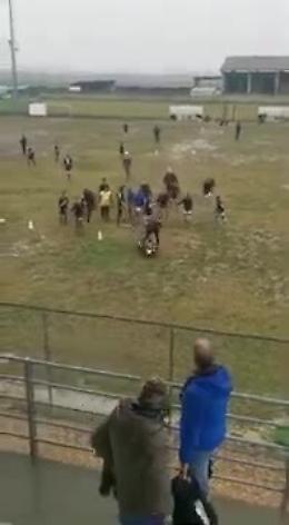 Baby calciatori 12enni picchiano dirigente a terra: il video è virale