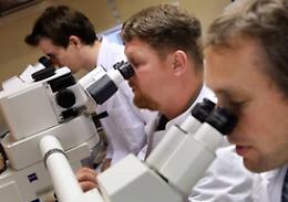 La polmonite miete vittime: 4 milioni nel 2020, per metà provocate dal Covid