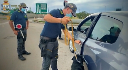 Faceva il corriere della droga, ma prendeva il reddito di cittadinanza: arrestato a Palermo