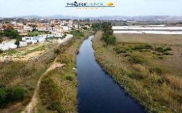 Cinque oleifici nell'occhio del ciclone